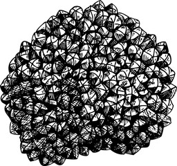 Hand-drawn black truffle mushroom sketch. Autumn forest plant  vector illustration in vinatge style - 767793858