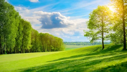 Foto op Canvas landscape with green grass and blob:https://firefly.adobe.com/d6ec8e13-4365-45ed-a984-9fdc3855a9b3 © Abull