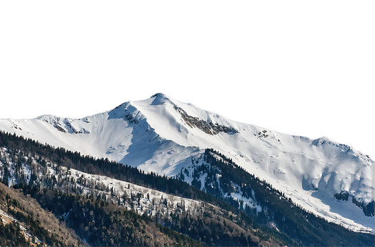 Snowy mountain peaks with rocks and forest for compositing and matte paining