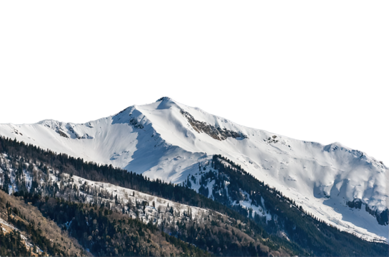 Snowy mountain peaks with rocks and forest for compositing and matte paining