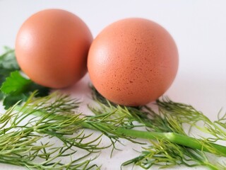 Two eggs and dill leaves on bright background.