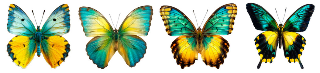 Beautiful butterflies, colorful, blue, yellow, green, orange, isolated on a transparent background. Set of butterflies for design. Butterfly.