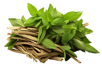 Aroma Infusion: Fresh Mint Leaves Sprawled on a White Canvas. On a White or Clear Surface PNG Transparent Background.