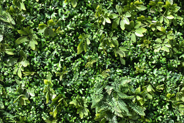 Obraz premium Close Up of Artificial Plastic Plants Covering Exterior Wall