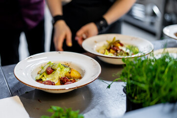 Two professional chefs meticulously plating vibrant, gourmet salads in a kitchen, showcasing...