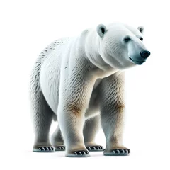 Foto op Plexiglas polar bear on a white background © Anwar