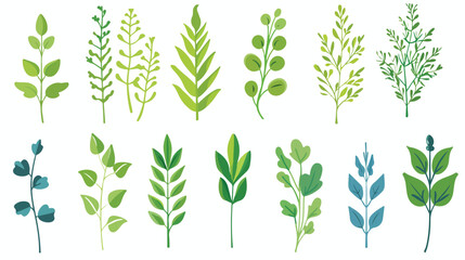 Bio plant green blue icon herb natural health Flat
