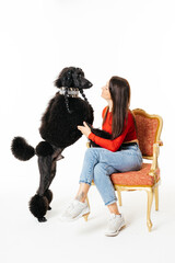 Woman Sitting on Chair Petting Black Poodle