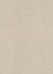 Seamless Stark White, Sisal, Parchment Handmade Rice Paper Texture for the Background. Vertical...