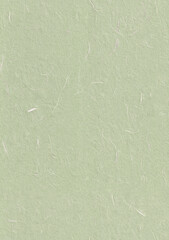Seamless Beryl Green, Pale Leaf, Green Mist, Sprout Plants Fiber Rice Paper Texture for the...