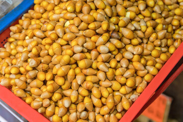 Ginkgo Biloba Nuts in Tub at Farmers Market in Hong Kong