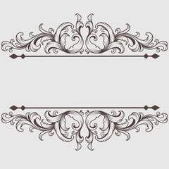 Vintage Classical baroque ornament and decorative design element filigree.
