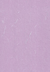 Seamless Lilac, Prelude, Maverick, Lola Rice Art Paper Texture for the Background. Vertical portrait orientation. - 767823857
