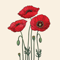 Red poppies flowers. Eps 10 vector illustration.