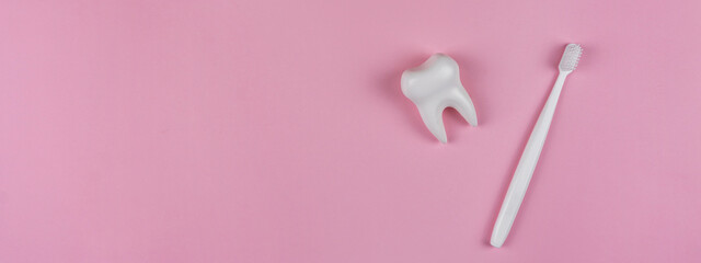 Obraz na płótnie Canvas Healthy white tooth and toothbrush on a pink background. The concept of dentistry, health, health care, oral care. Oral hygiene, professional teeth cleaning. Banner for a dental clinic, copy space