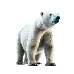 Foto op Plexiglas polar bear on a white background © Anwar