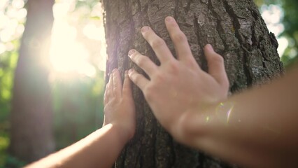 touch the tree trunk with your hand. ecology concept of nature forest energy. family hand touches highlights close-up of a pine trunk. hand touches a tree trunk. tree wild forest travel concept sun - 767829294