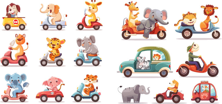 Animal on scooter, driving car and zoo travel