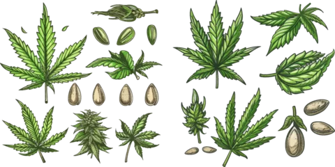 Fotobehang Marijuana bud vector illustration set © Mark