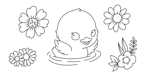 Kawaii line art coloring page for kids. Kindergarten or preschool coloring activity. Cute swimming duckling surrounded by flowers. Outdoor nature life vector illustration - 767833072
