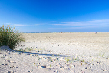 sand beach in Renesse, the Netherlands