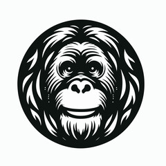 Orangutan Cartoon Animal Illustration Color