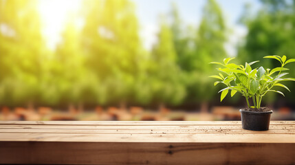 Garden background with copy space on a wooden table in sunlight