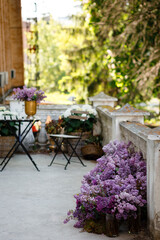 a lot of purple lilac on a balcony in the city center