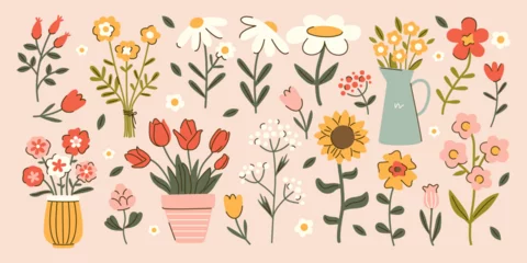 Fotobehang Set of hand drawn cottagecore flowers. Tulip, sunflower, daisy, chamomile, flowerpots decor. Spring and summer botanical illustrations. Garden plants vector design © Olga