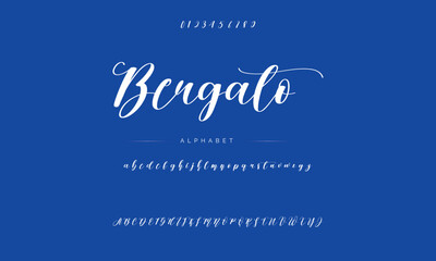 Fototapeta na wymiar Lettering signature font isolated on background. brus style alphabet. Vector logo letters.