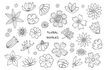 Flowers doodles collection, spring wildflowers clipart, floral cartoon elements isolated on white background for coloring pages, stickers, cards, posters, banners, etc. EPS 10