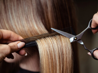 Hairdresser trimming light hair with scissors - obrazy, fototapety, plakaty