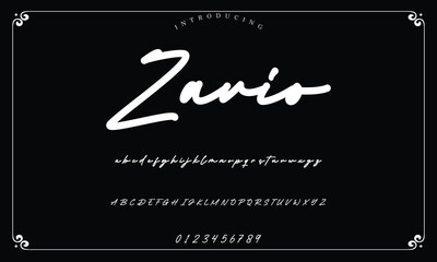 Lettering signature font isolated on background. brus style alphabet. Vector logo letters.