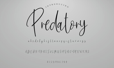 Lettering signature font isolated on background. brus style alphabet. Vector logo letters.