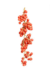 Buffaloberry isolated on white background