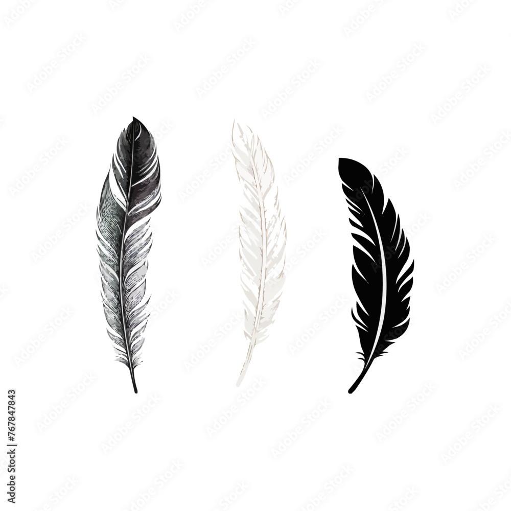 Poster feather | minimalist and simple set of 3 line white background