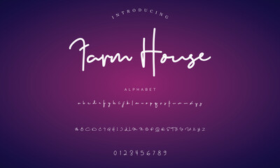 signature Font Calligraphy Logotype Script Brush Font Type Font lettering handwritten