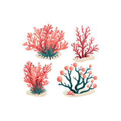 Coral reef | Minimalist and Simple set of 3 Line White background