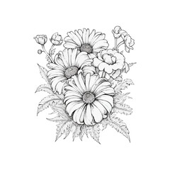 chamomile chrysanthemum and daisy back view in monochrome vector style, vector illustration for coloring