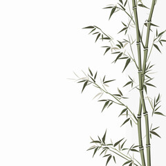 Bamboo | Minimalist and Simple Line White background - Vector illustrati