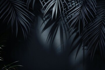 Blurred shadow from palm leaves on the light black wall. Minimal abstract background for product...
