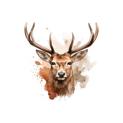 head of deer watercolor vector illustration,elk head with big horns