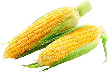 corn on the cob
