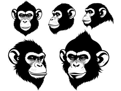 set of a monkey head silhouette vector 