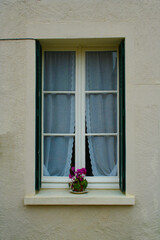 A window of a house with a plant on the ledge...