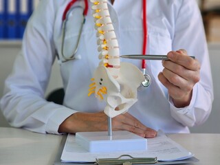 Diagnosis and display of herniated intervertebral discs and a model of the spine with a hernia concept