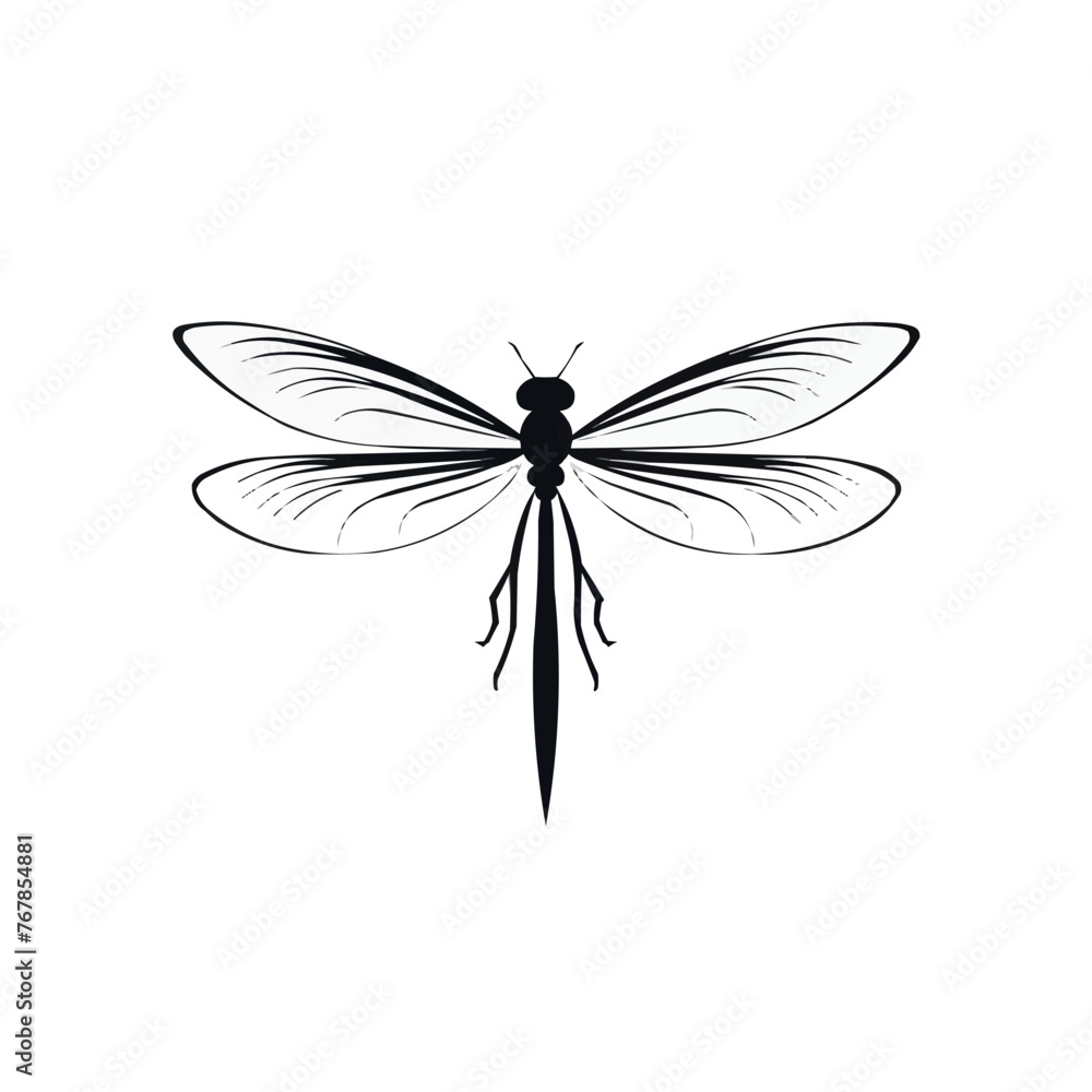 Poster dragonfly | minimalist and simple set of 3 line white background - vector