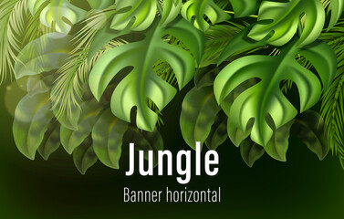 Realistic jungle horizontal banner template with tropical leaves