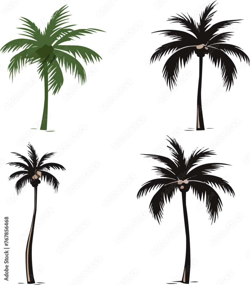 Poster palm tree | minimalist and simple set of 3 line white background - vector illustration