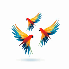 Macaw | Minimalist and Simple set of 3 Line White background